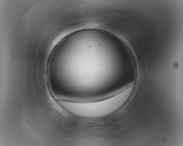 X0000111151342200906301328