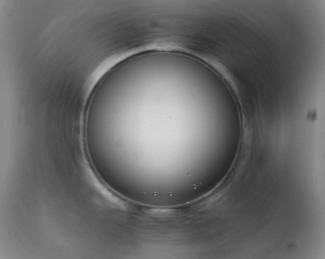 X0000111151343200906301328