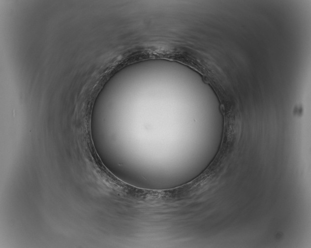 X0000111151345200906301328