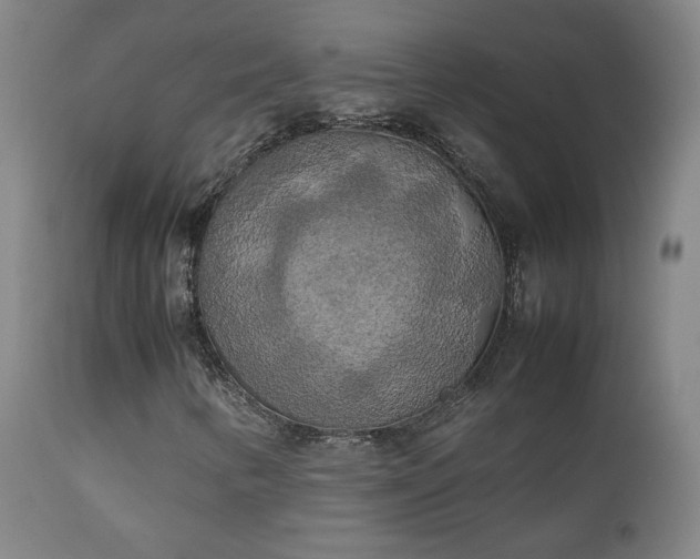 X0000111151346200906301328