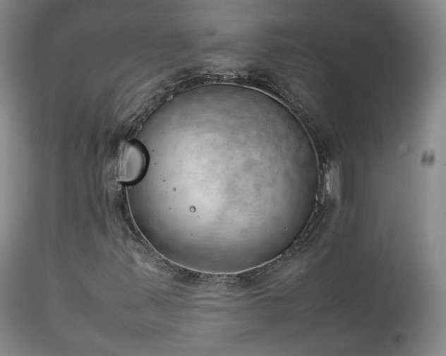 X0000111151347200906301328