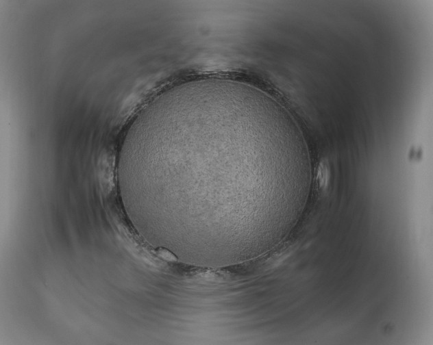 X0000111151348200906301328