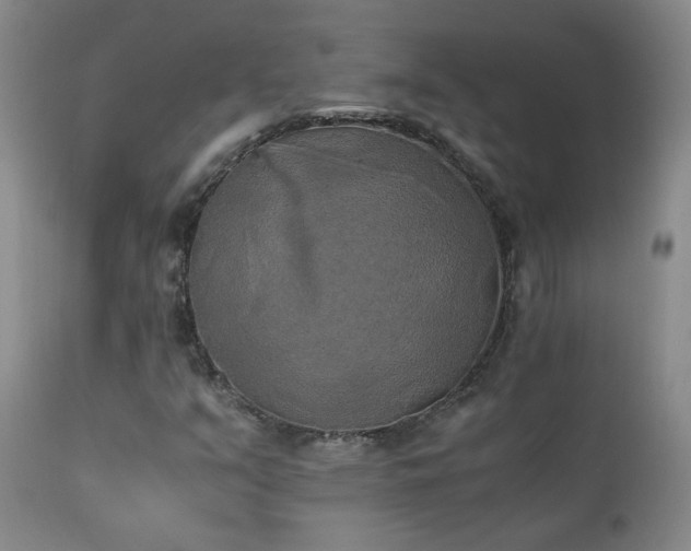 X0000111151351200906301328