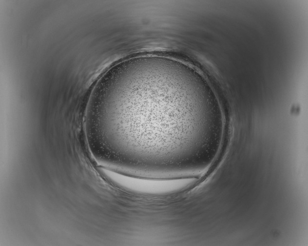 X0000111151353200906301328