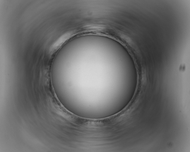 X0000111151354200906301328