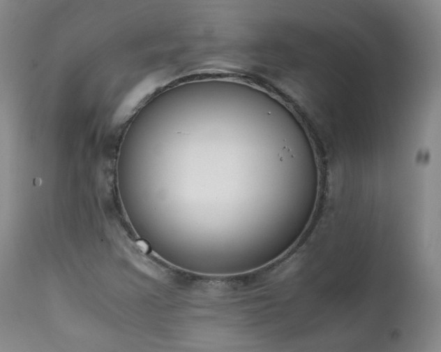 X0000111151355200906301328