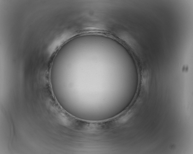 X0000111151357200906301328