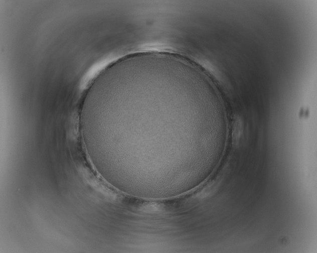 X0000111151358200906301328