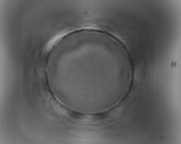 X0000111151359200906301328