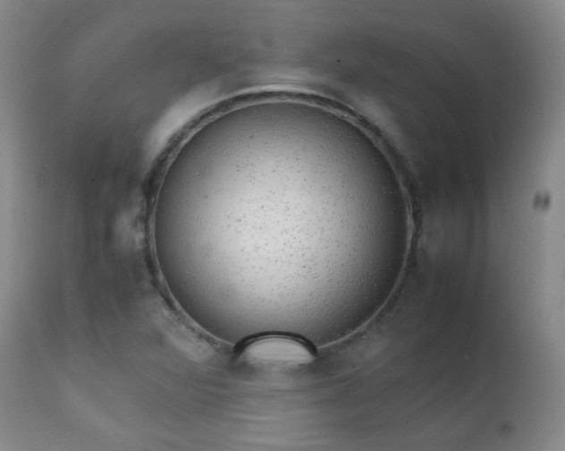X0000111151360200906301327