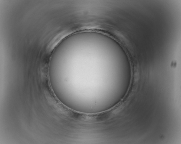 X0000111151361200906301327