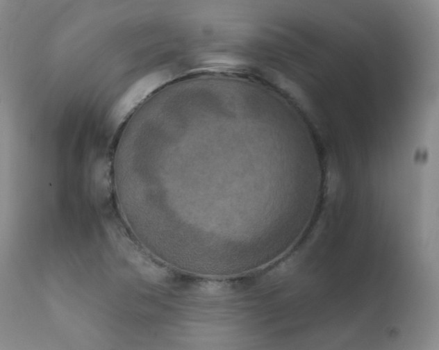 X0000111151362200906301327