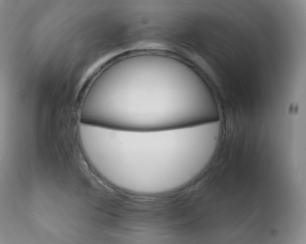 X0000111151364200906301327