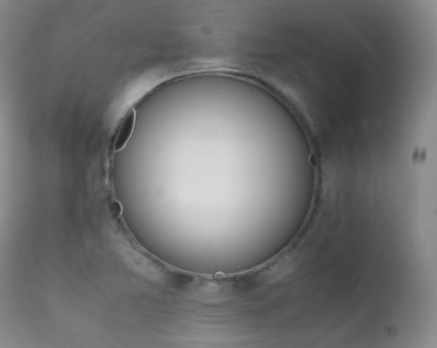 X0000111151365200906301327