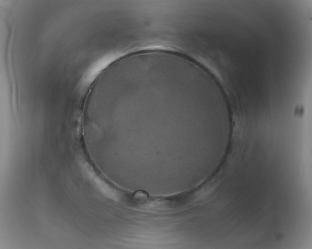 X0000111151367200906301327