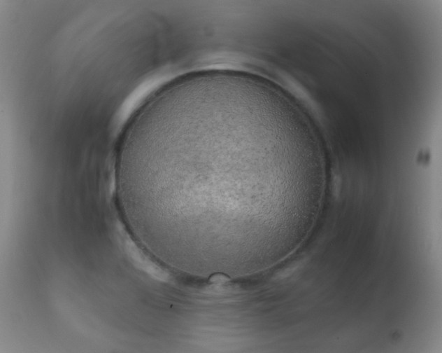 X0000111151368200906301327