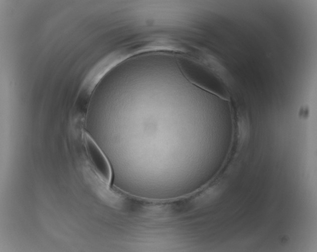 X0000111151369200906301327
