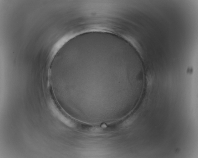 X0000111151371200906301327