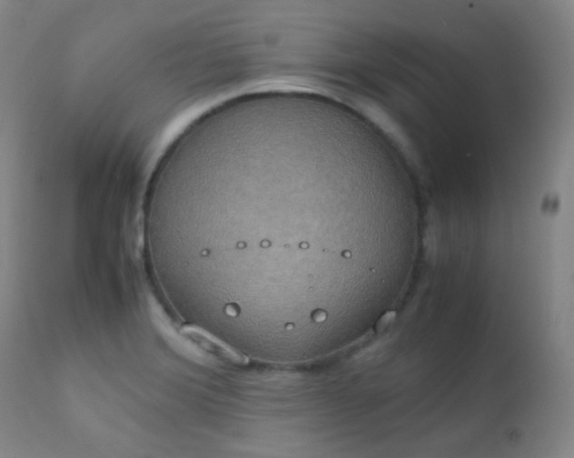 X0000111151372200906301327