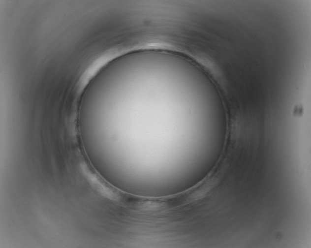X0000111151374200906301327