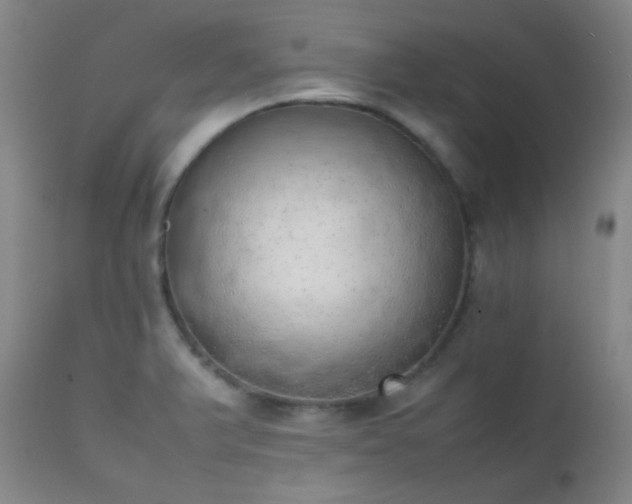 X0000111151375200906301327