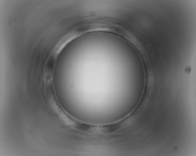 X0000111151377200906301327