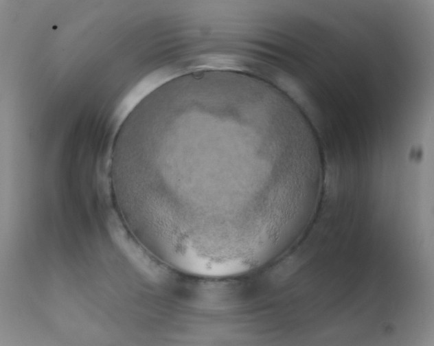 X0000111151378200906301327