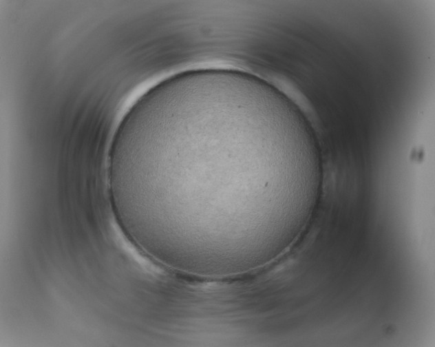 X0000111151380200906301327