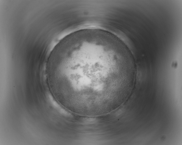 X0000111151382200906301327