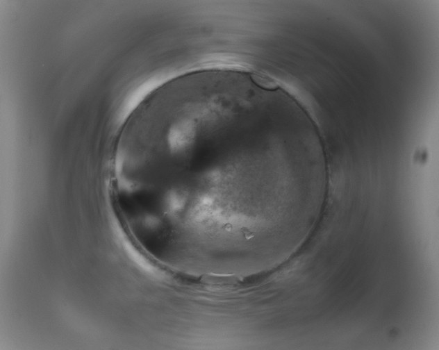 X0000111151383200906301327