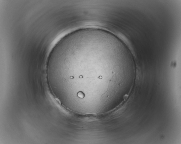 X0000111151384200906301327
