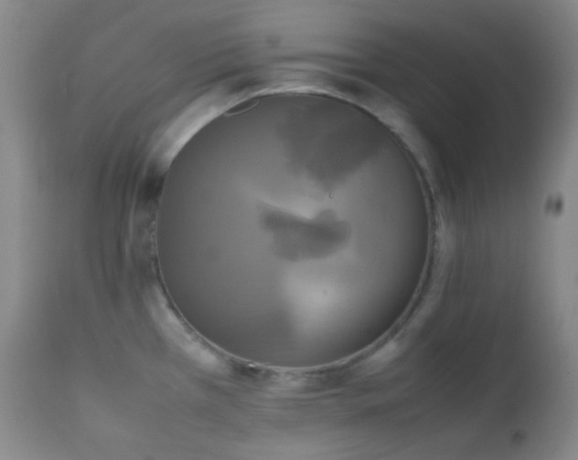 X0000111151385200906301327