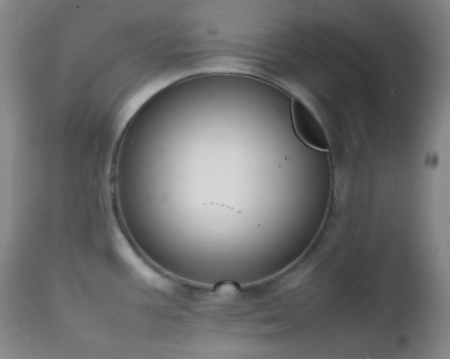 X0000111151387200906301327