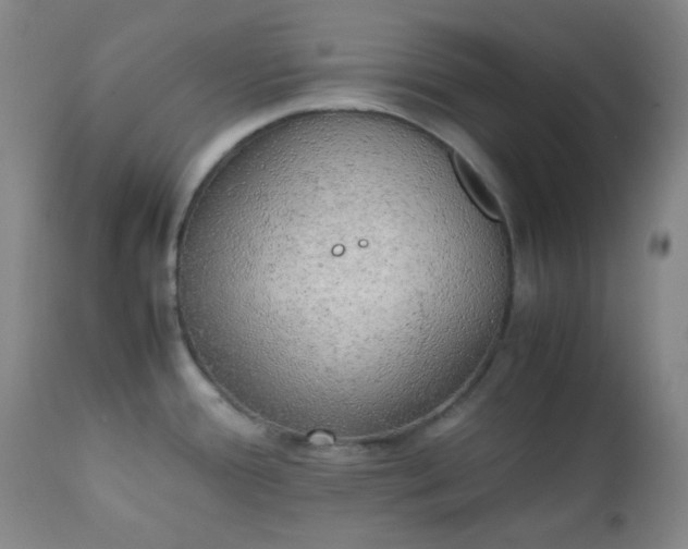 X0000111151388200906301327