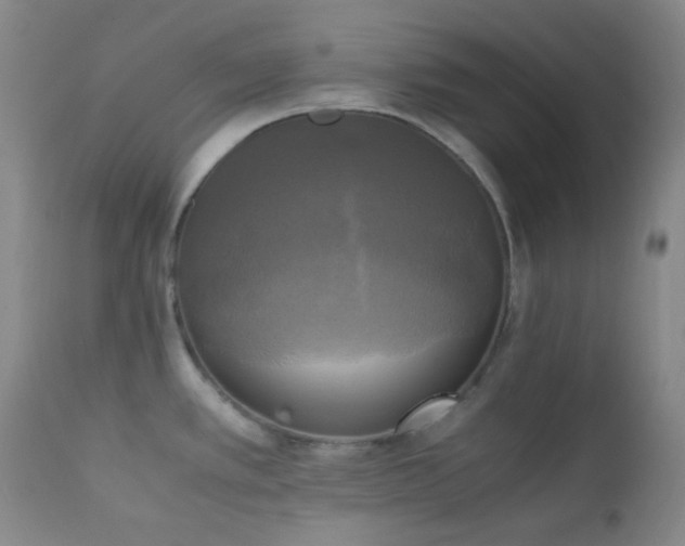 X0000111151389200906301327