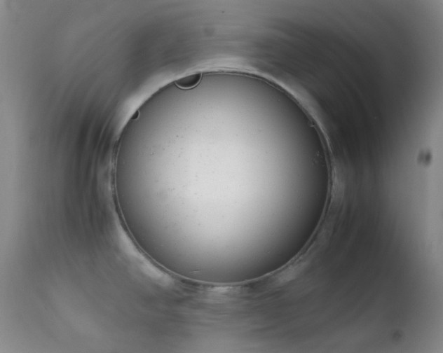 X0000111151390200906301327