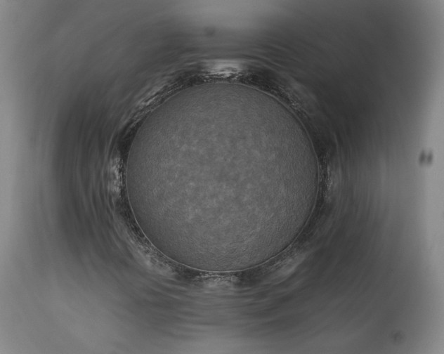 X0000111151394200906301326