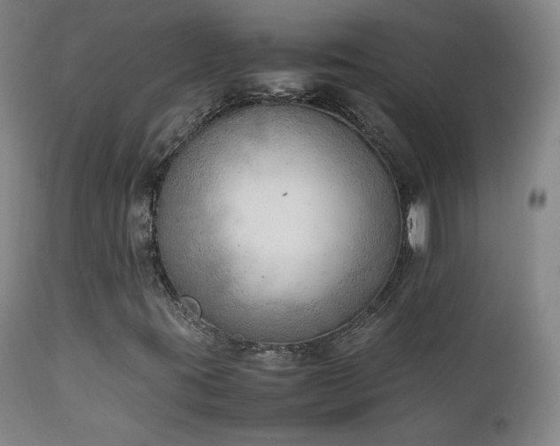 X0000111151395200906301326