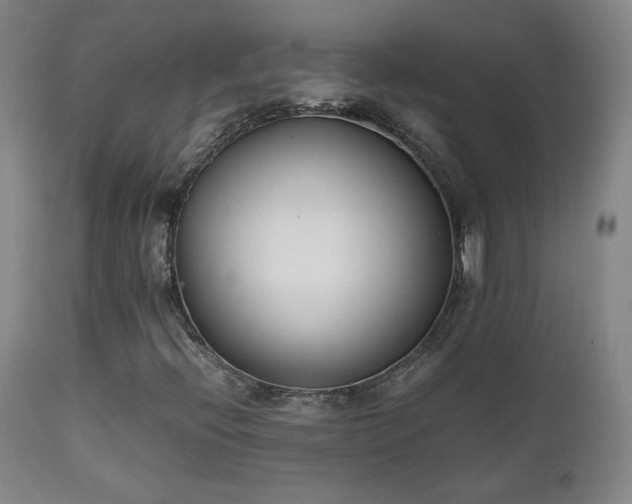 X0000111151396200906301326