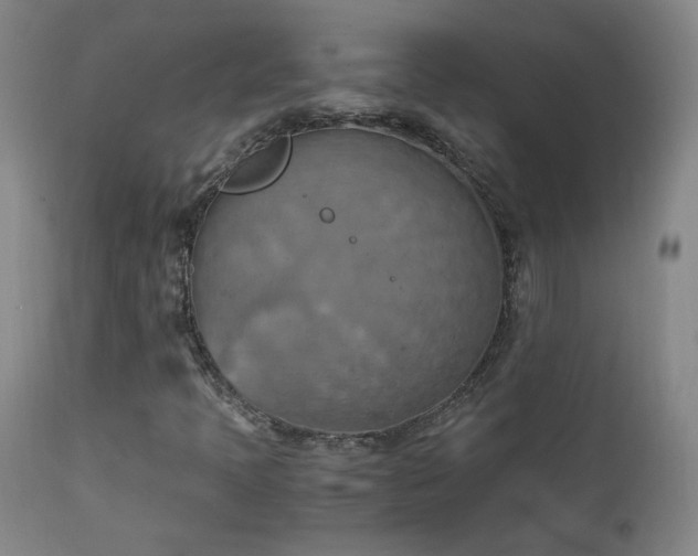 X0000111151397200906301326