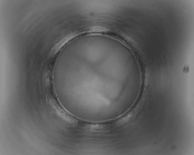 X0000111151401200906301326