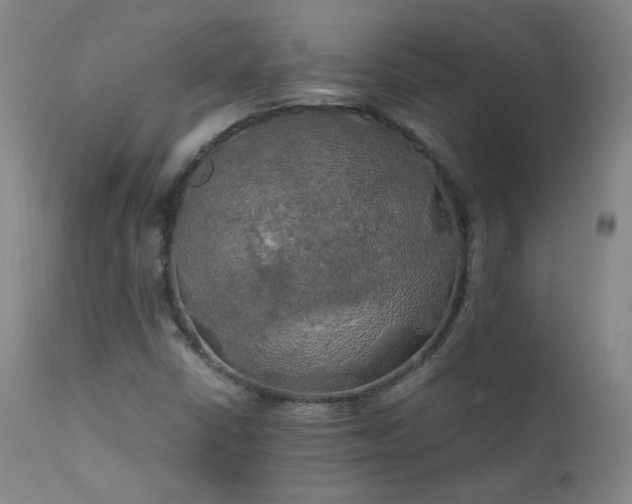 X0000111151402200906301326