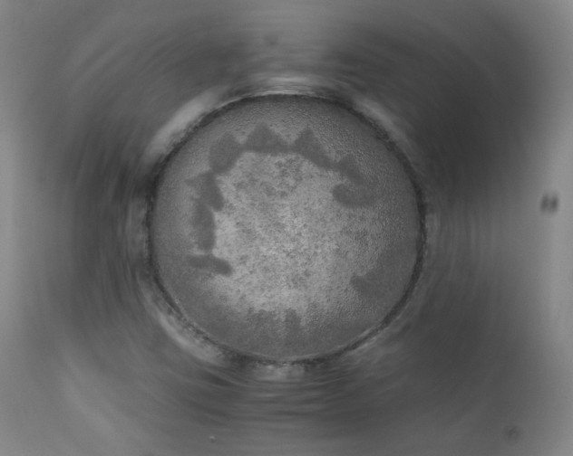 X0000111151403200906301326