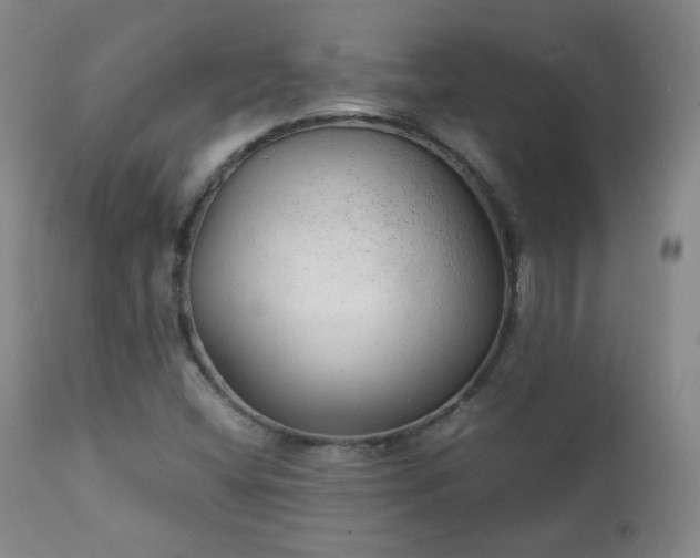 X0000111151404200906301326
