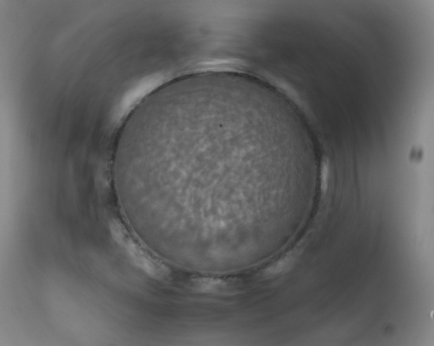 X0000111151405200906301326