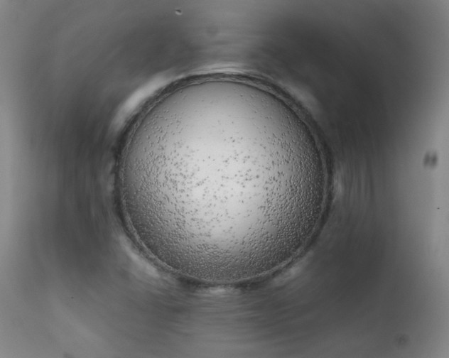 X0000111151406200906301326