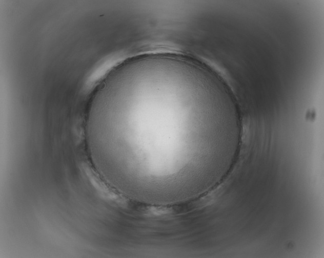 X0000111151407200906301326