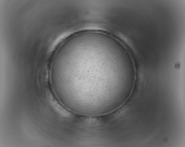 X0000111151408200906301326