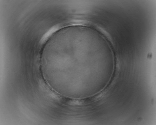 X0000111151411200906301326