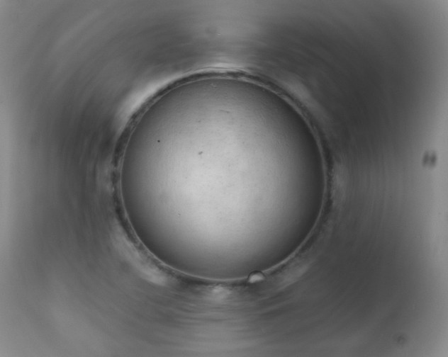 X0000111151412200906301326